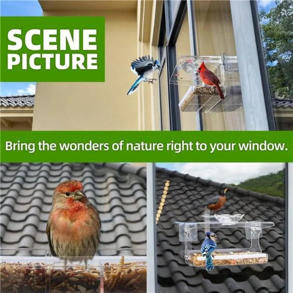 Window Bird Feeder with Non-Marking Self-Adhesive Hooks, Clear and Transparent